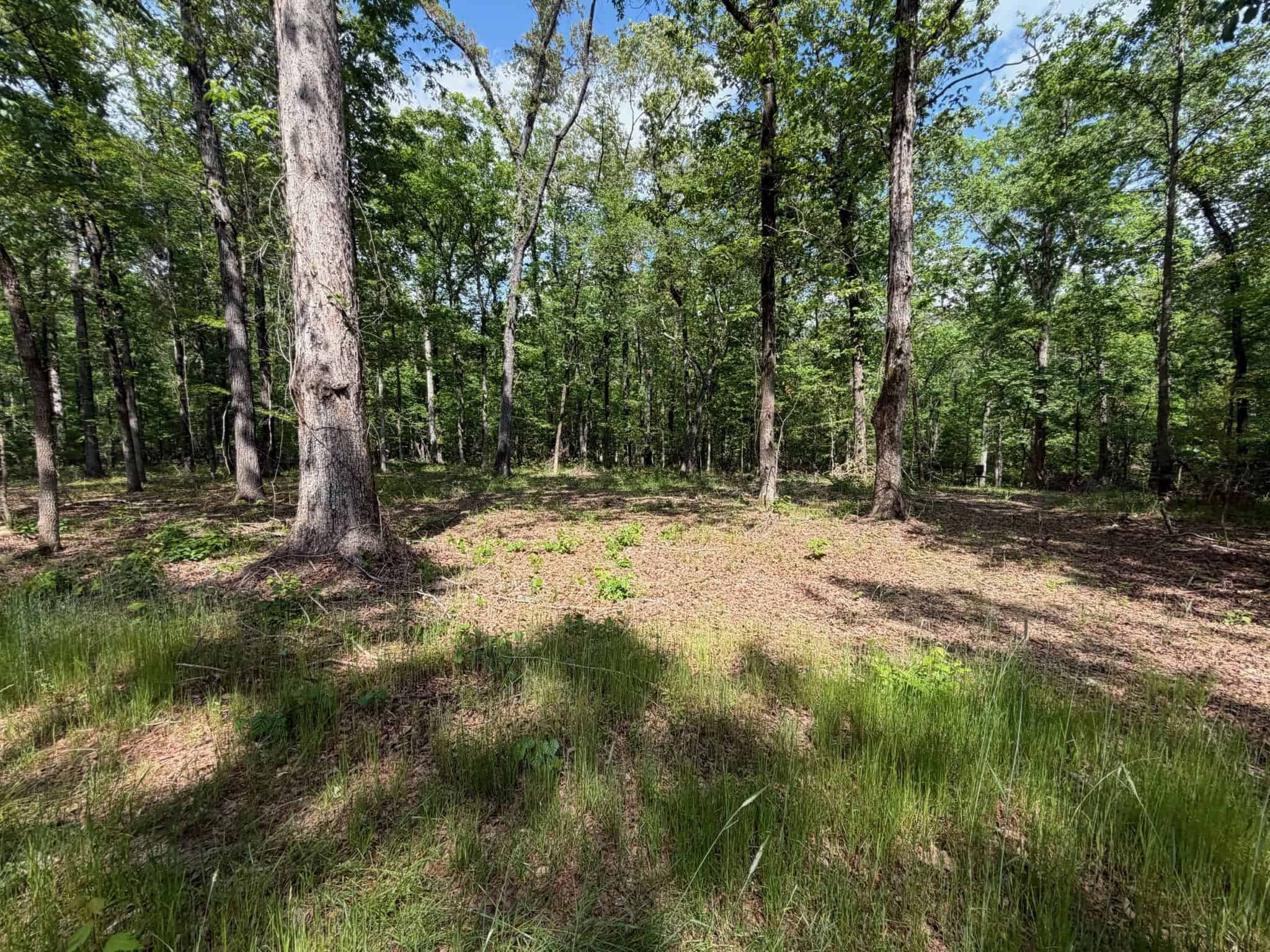 Saline Lake Hunting Property and Lodge Winn Parish LA