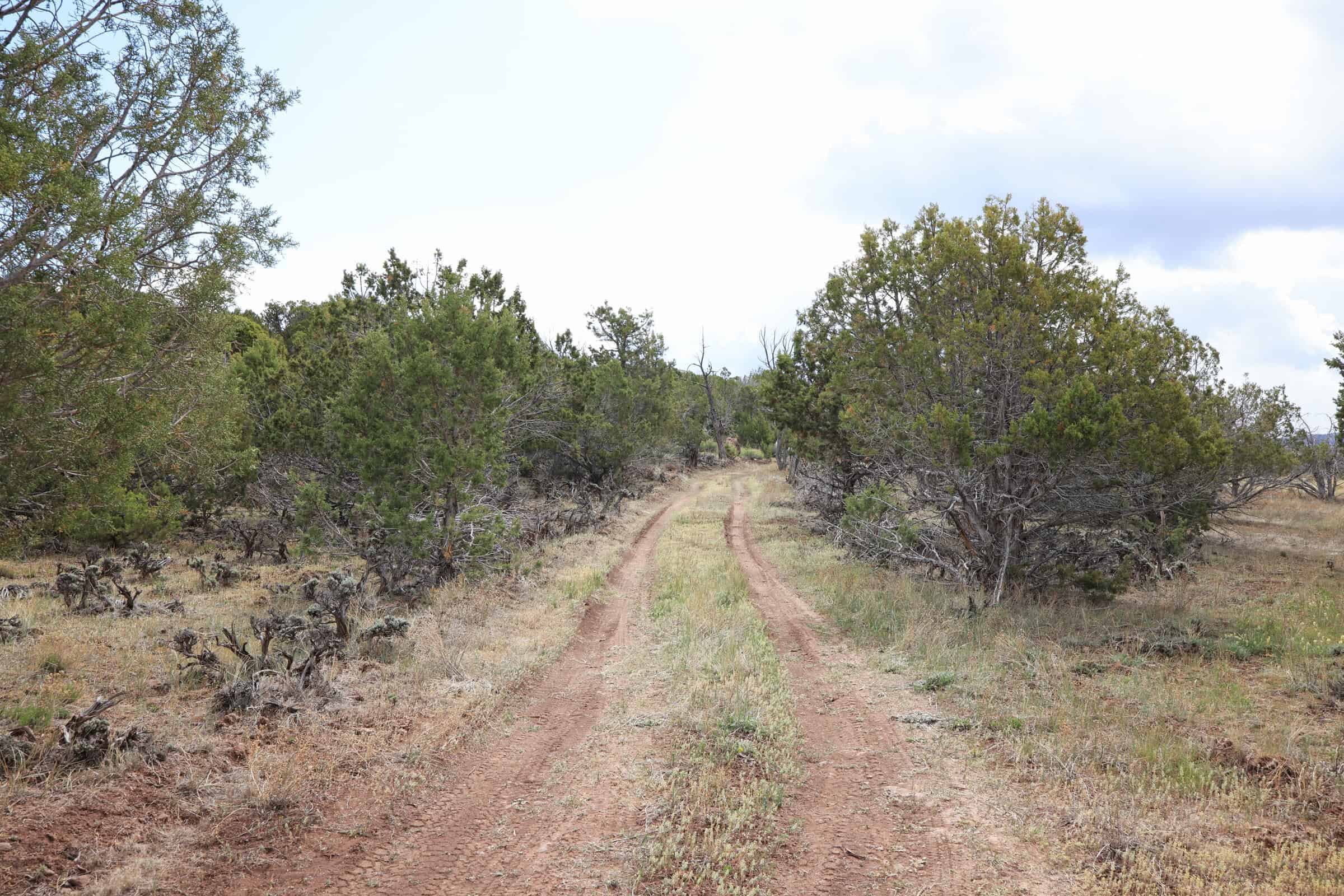 Vacant Land For Sale in Western Colorado with Tiny Home Included