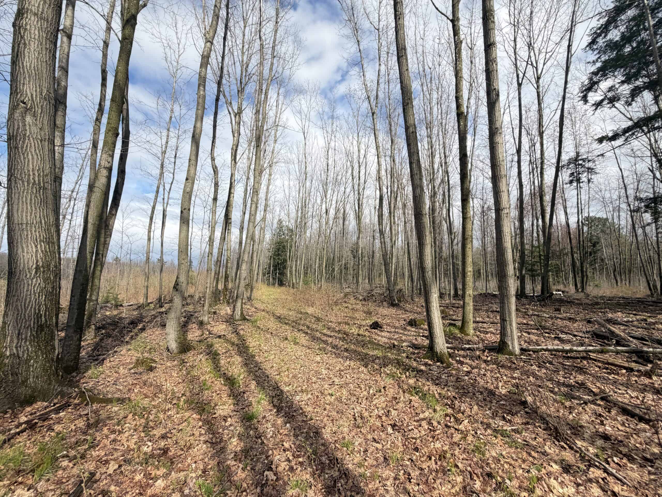 120 acres located in the Town of Dewey, Portage County, WI