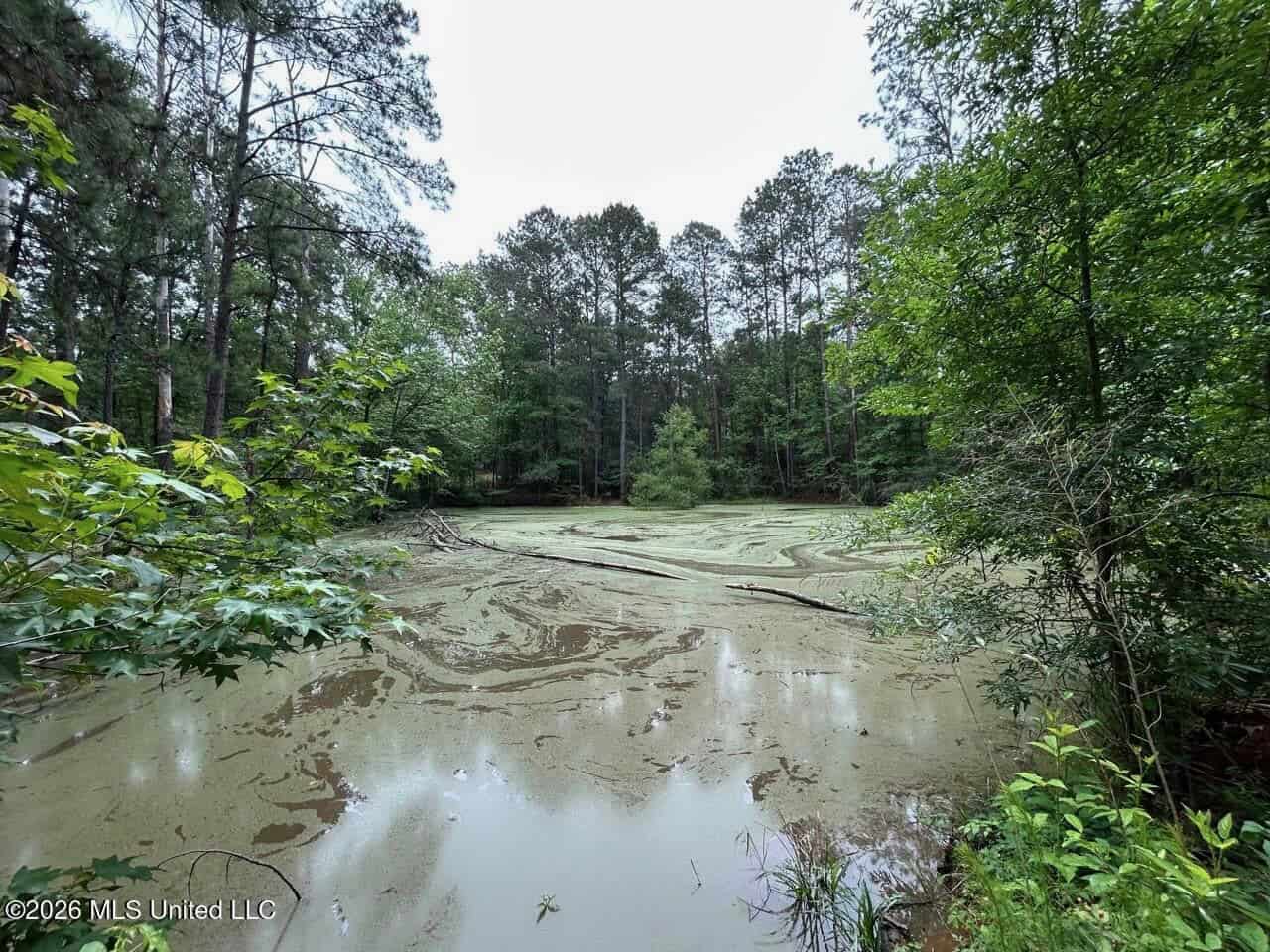 15 Acres with Pond & Homesite in Liberty, MS