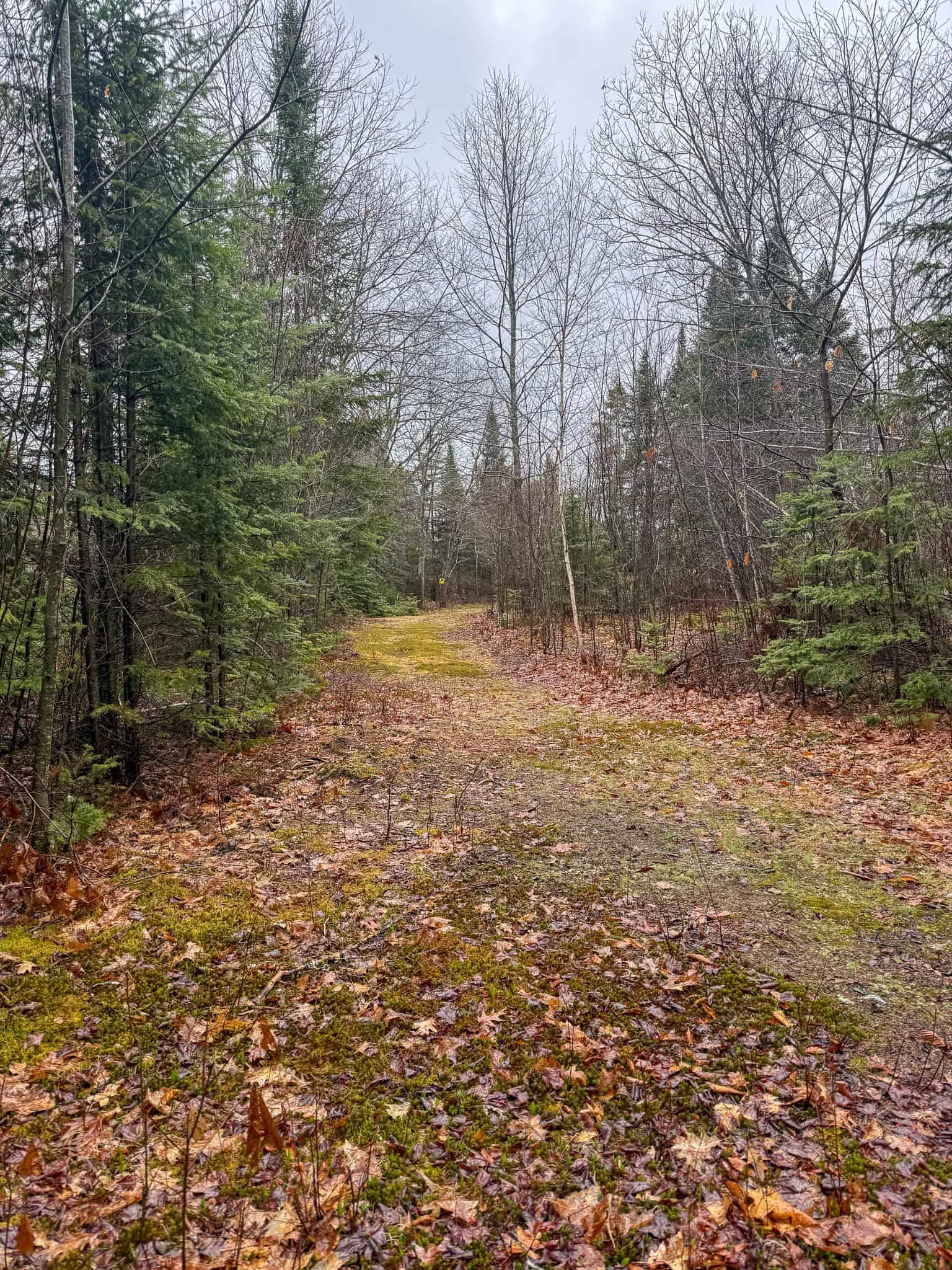 19 Acre Recreational Property – Detroit, Maine
