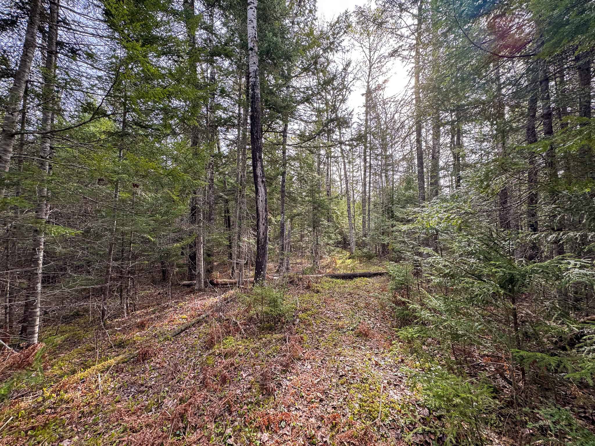 Quiet Country Home with 10± Acres – Chester, Maine