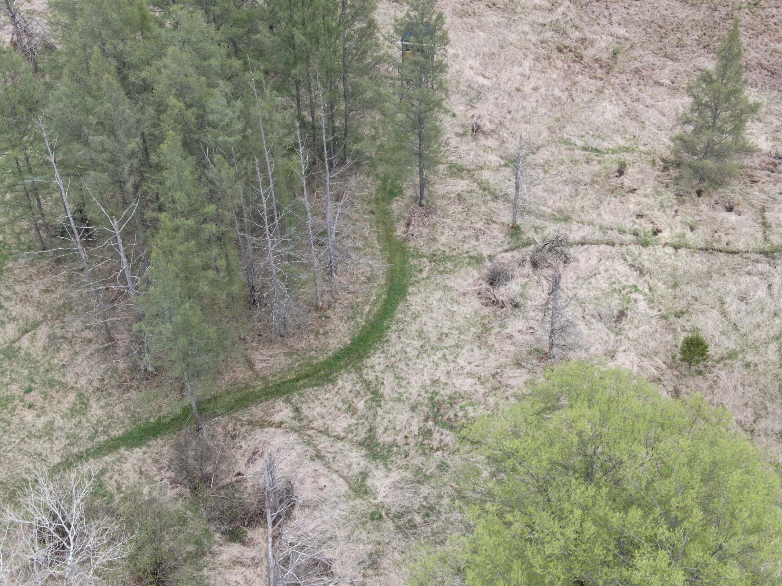 88 Acre Marquette County  WI Hunting Property For Sale