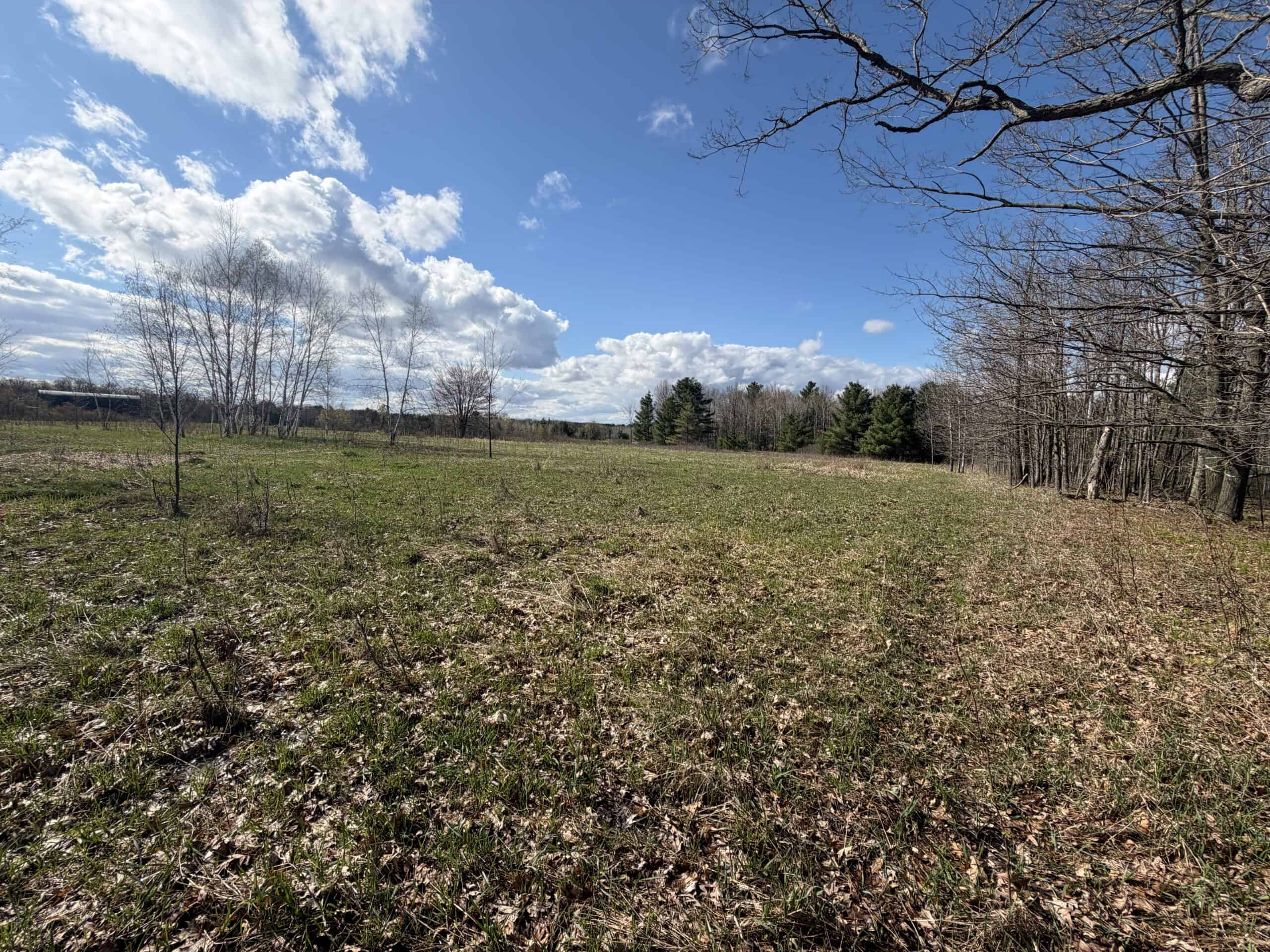 Portage County 40 Acre Hunting and Rec Property for Sale