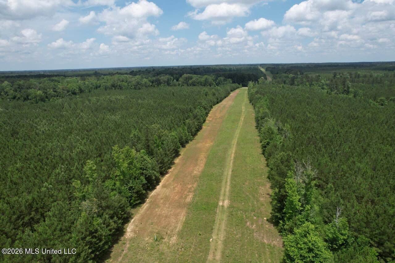 56 Acres in St. Helena Parish with Black Creek