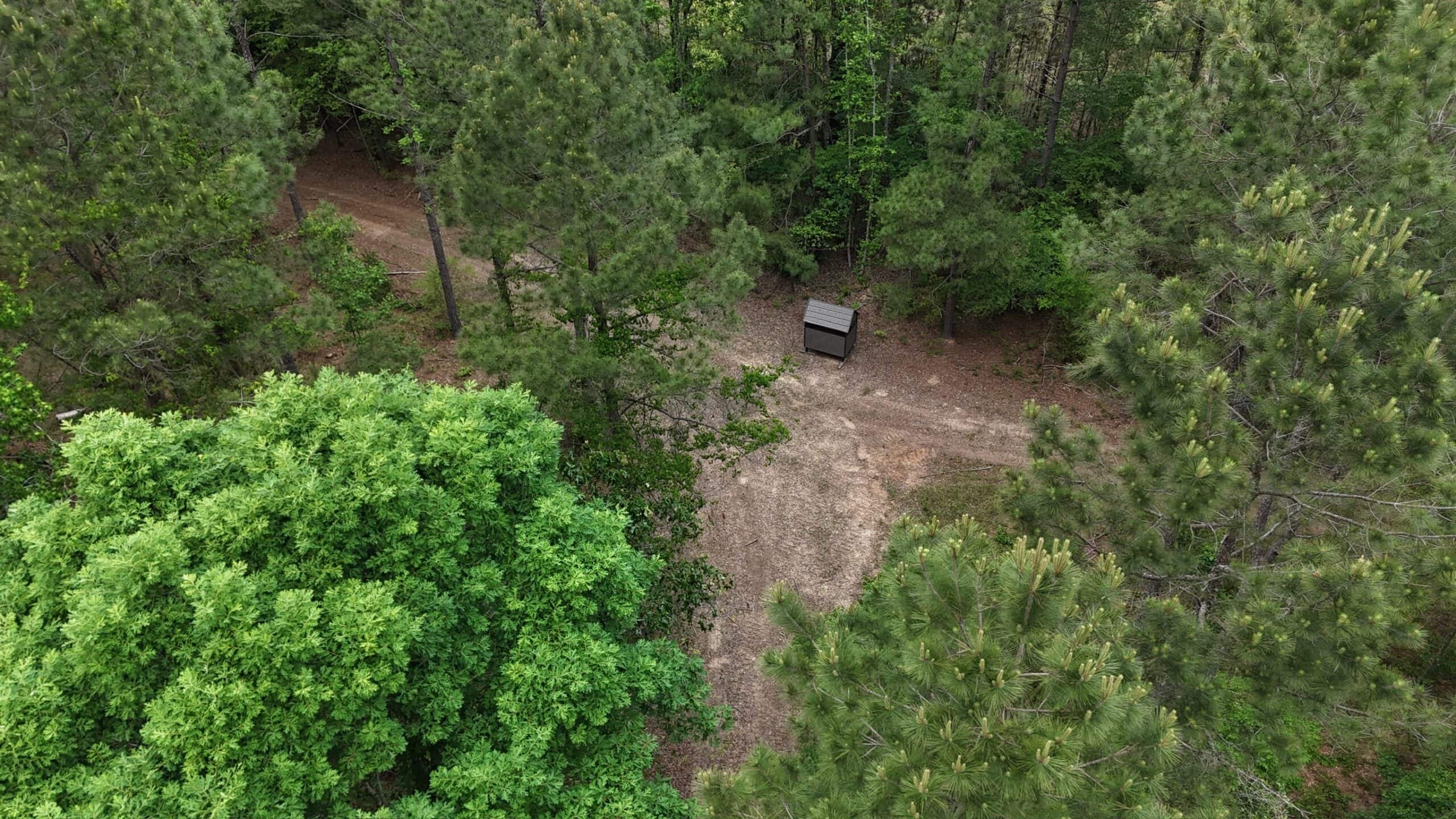 LA Recreation & Timber Property Joining Saline Lake