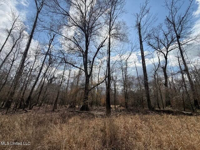 470 Acres on Calcasieu River in Allen Parish, LA