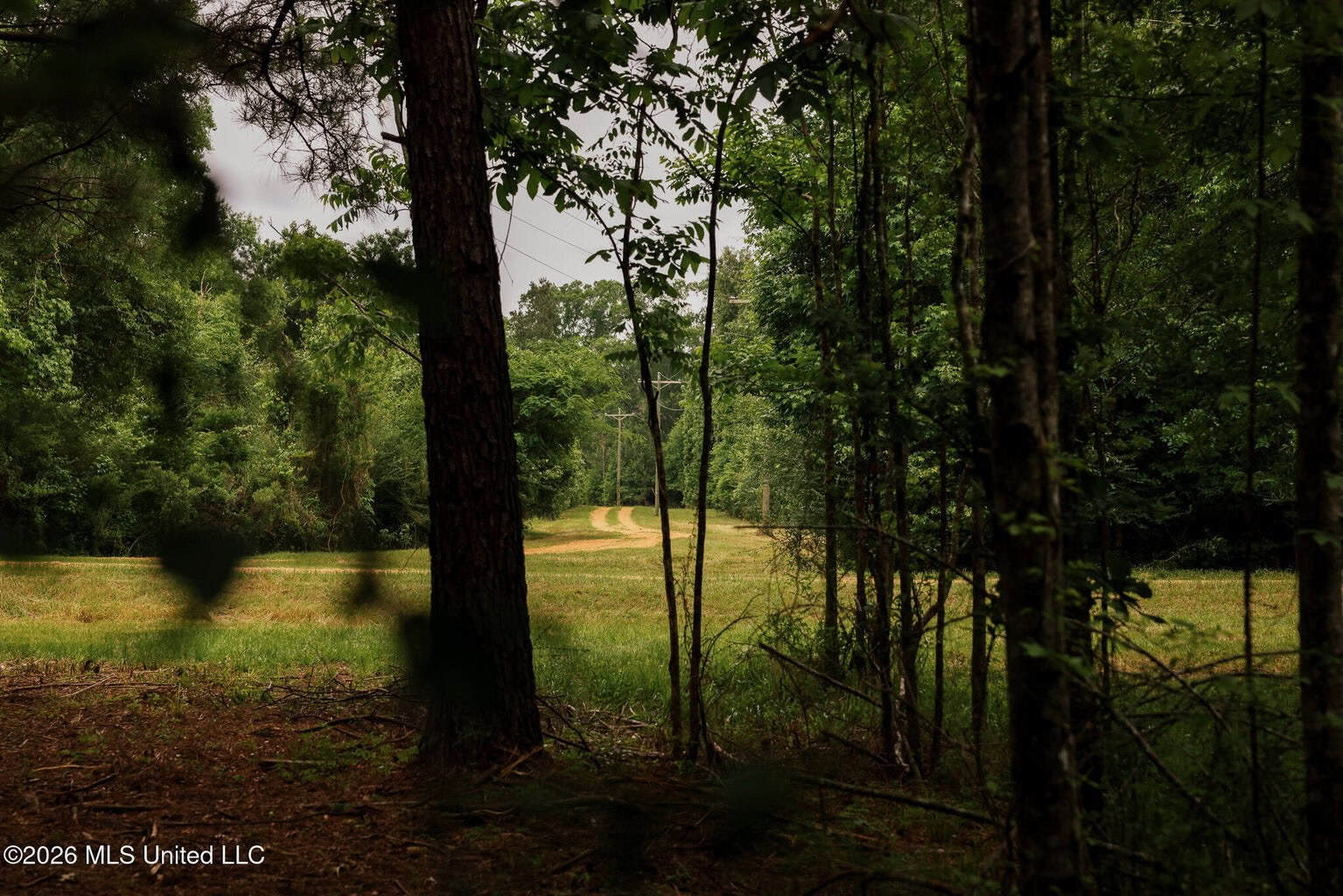 Land for Sale in Amite County, MS