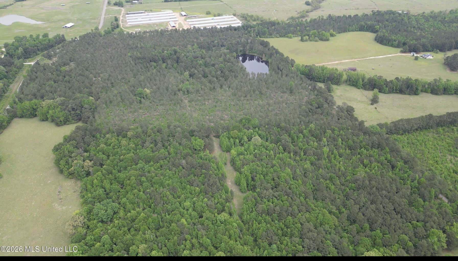 160 Acre in Bienville Parish Near Arcadia, Louisiana
