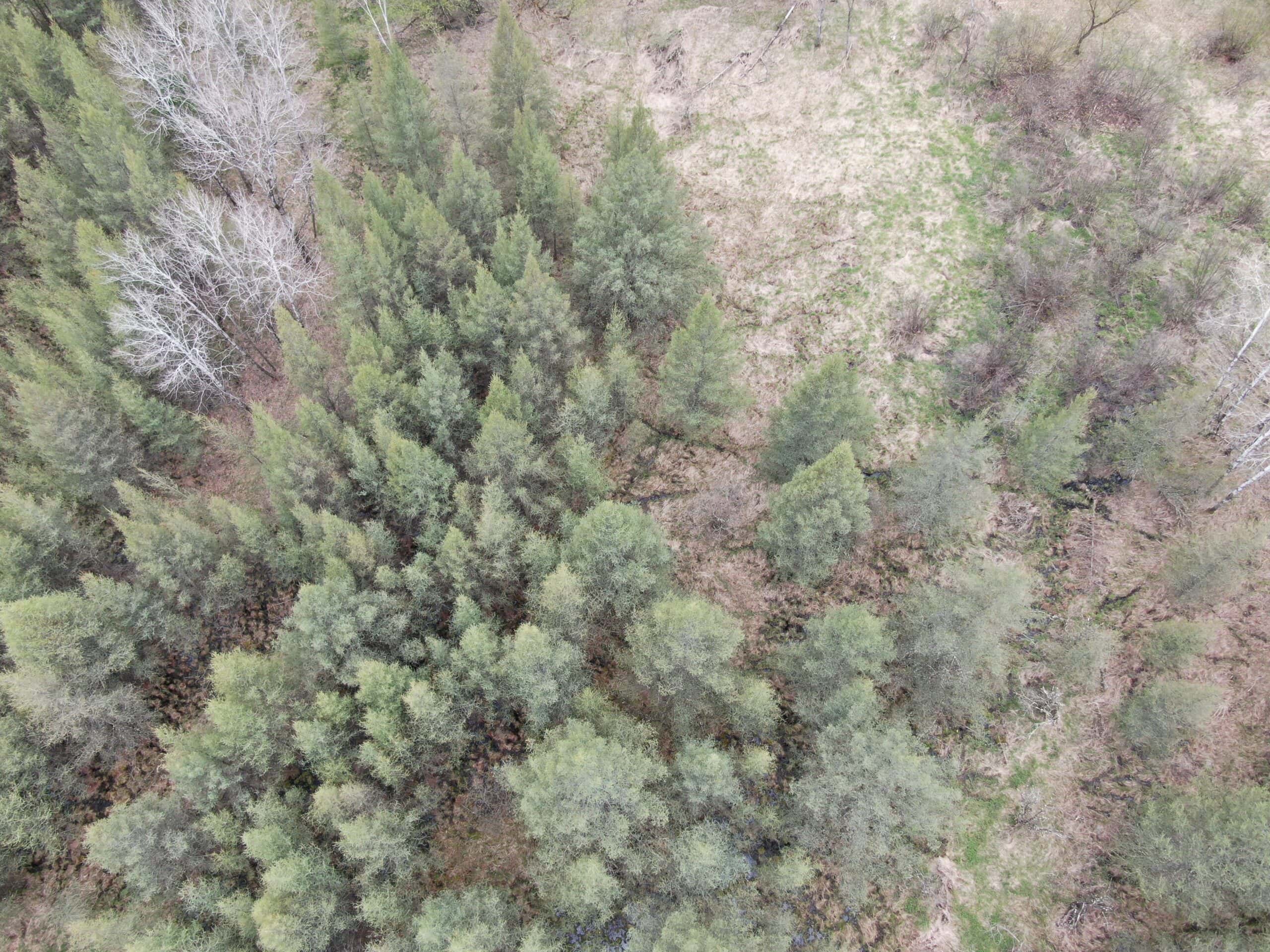 88 Acre Marquette County  WI Hunting Property For Sale