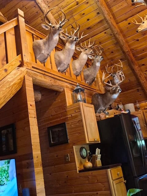 Trophy Whitetail Farm In NW Missouri For Sale – 45 Acres