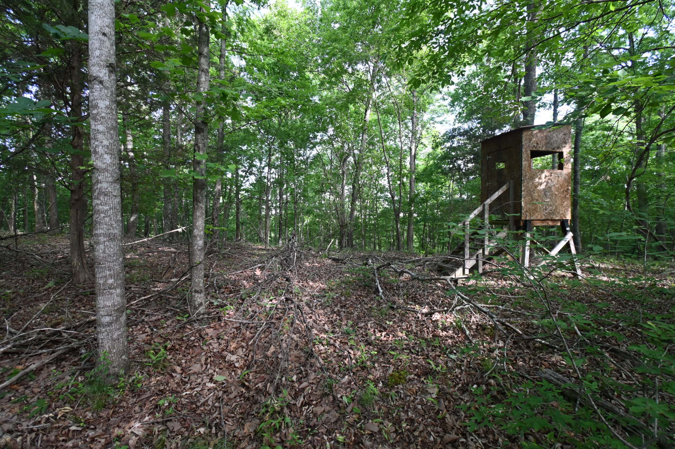Tennessee Woods Land For Sale! 59.28 ac only minutes to TN River!