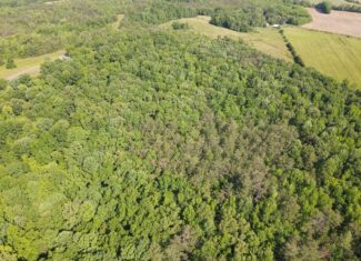 LAND FOR SALE IN TN, HOMESITE, HUNTING, FIELD, TIMBER, CREEK