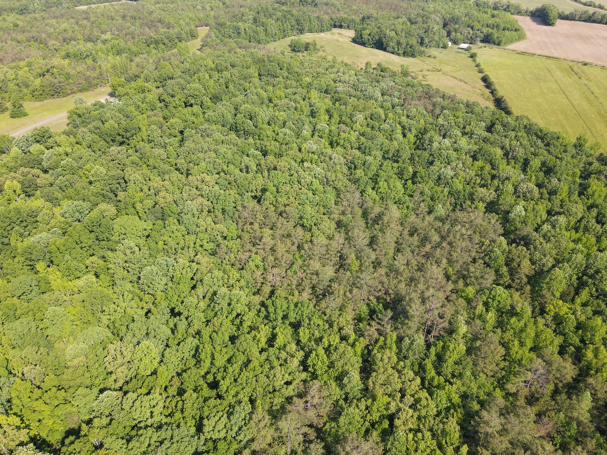 LAND FOR SALE IN TN, HOMESITE, HUNTING, FIELD, TIMBER, CREEK