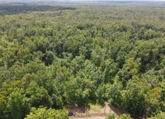 WOODED LAND, ROLLING HILLS NEAR PICKWICK LAKE