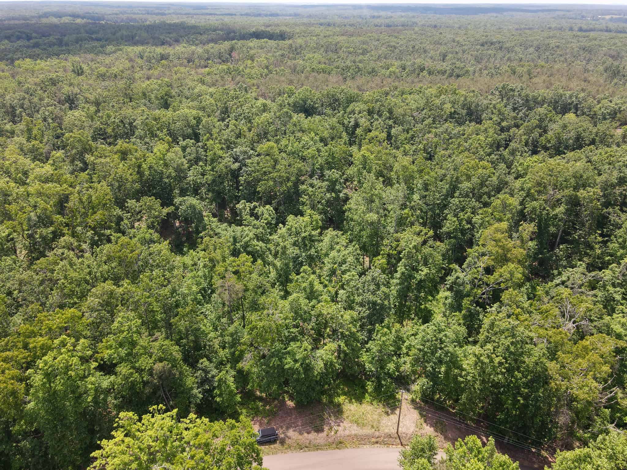 WOODED LAND, ROLLING HILLS NEAR PICKWICK LAKE