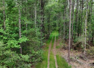 Saline Lake Hunting Property and Lodge Winn Parish LA