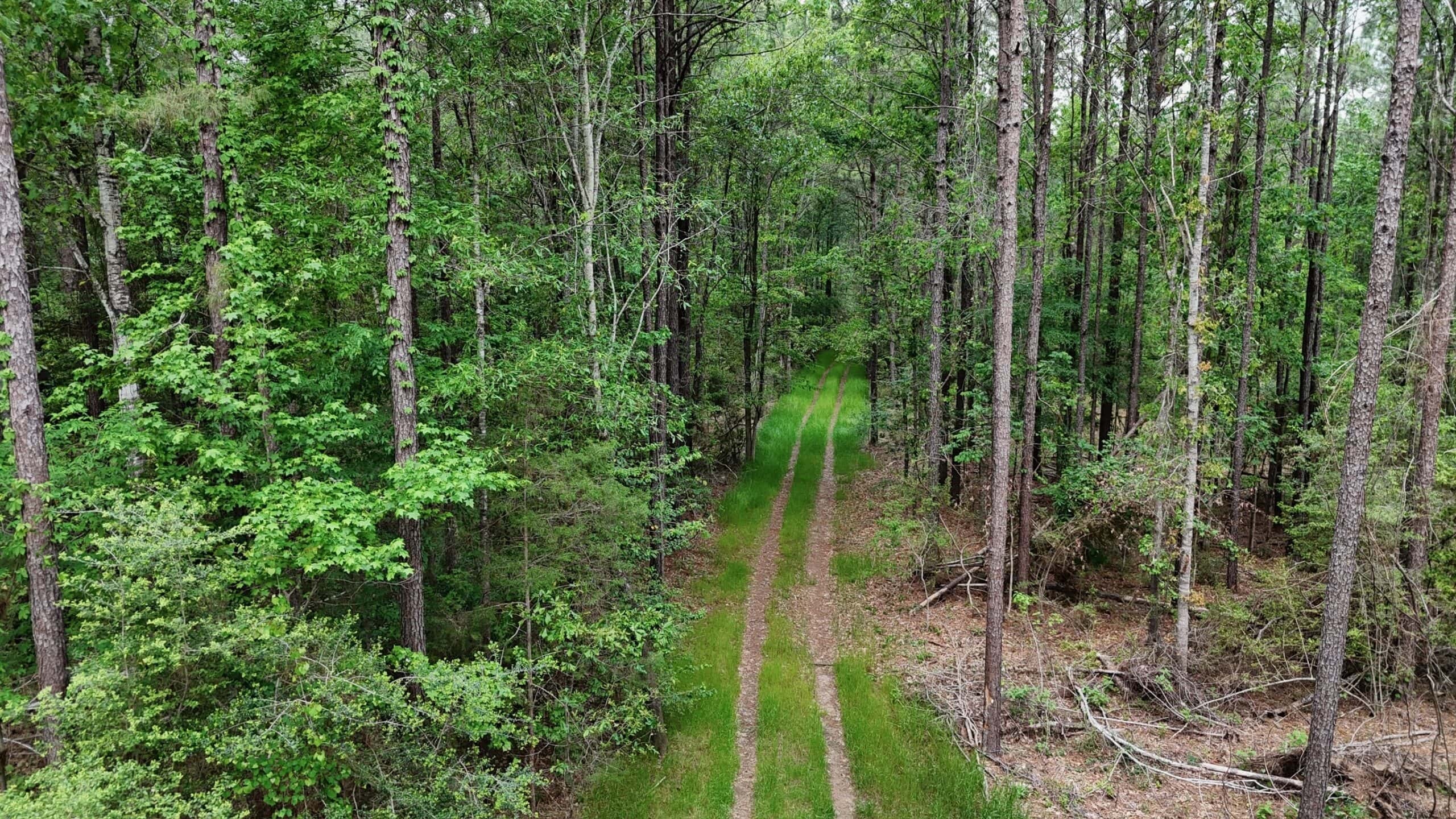 Saline Lake Hunting Property and Lodge Winn Parish LA