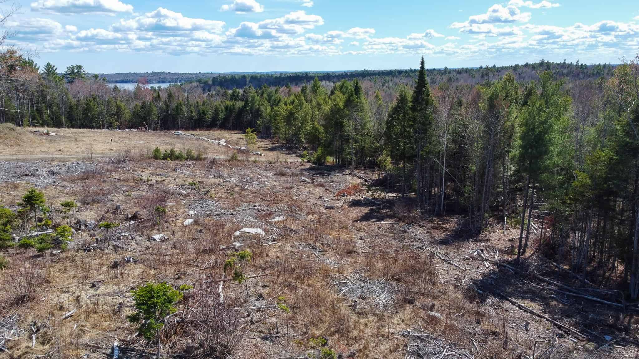 6-Lot Surveyed Subdivision Near Morgan’s Beach – Enfield, Maine