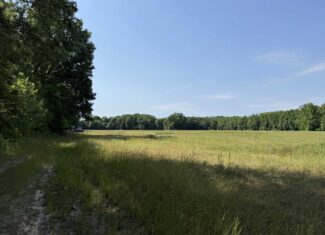 LAND FOR SALE IN TN, HOMESITE, HUNTING, FIELD, TIMBER, CREEK