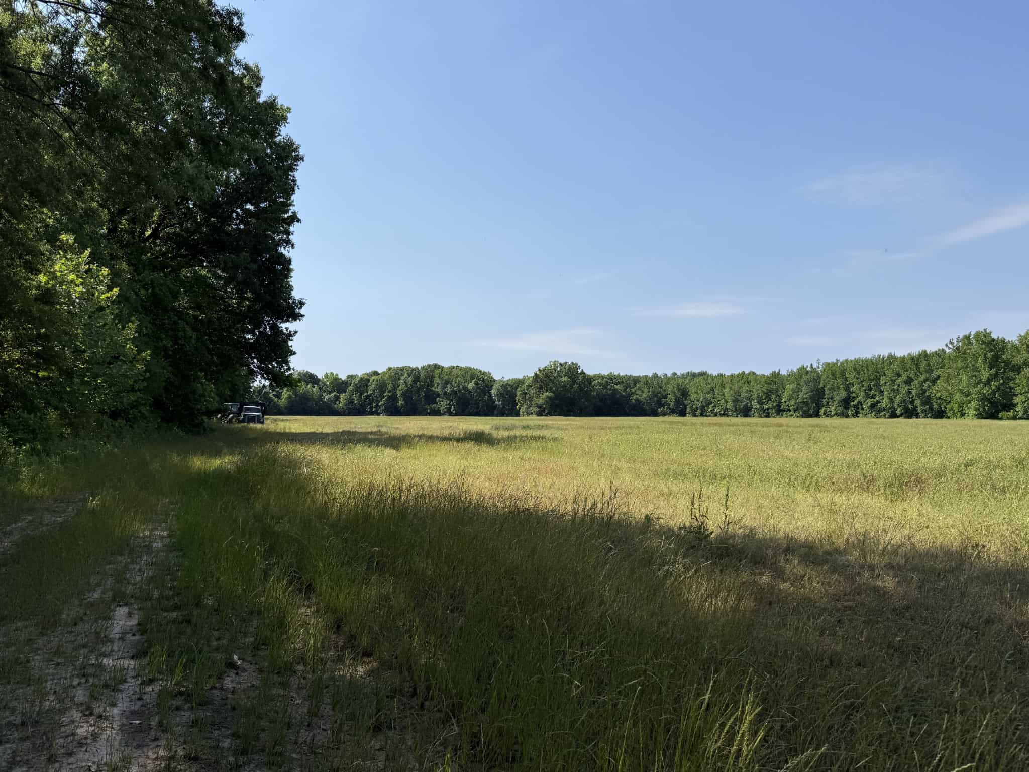 LAND FOR SALE IN TN, HOMESITE, HUNTING, FIELD, TIMBER, CREEK