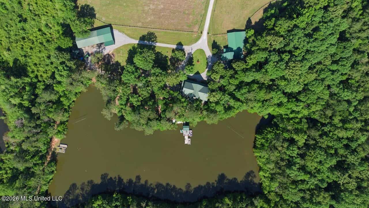 Luxury Estate on 98 Acres in Camden, AL