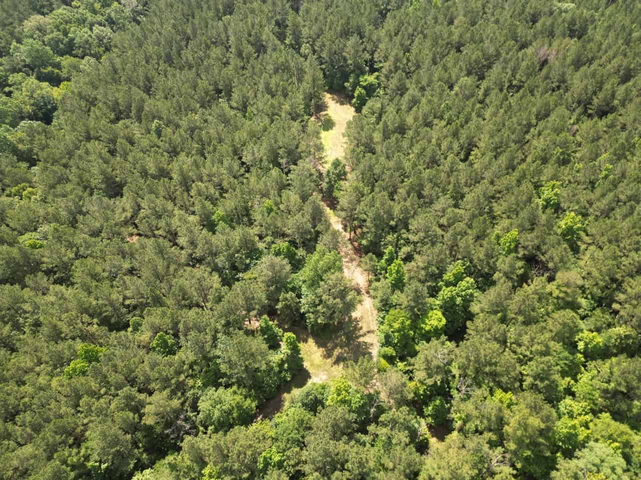 200 acres Franklin County MS Hunting Land Timber Investment