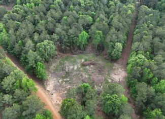 LA Recreation & Timber Property Joining Saline Lake