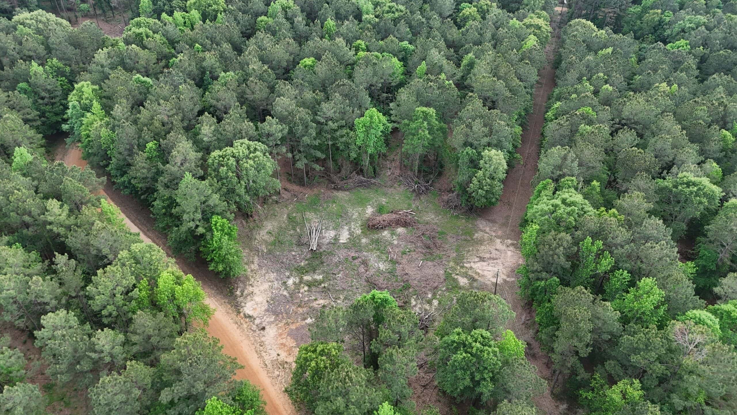 LA Recreation & Timber Property Joining Saline Lake