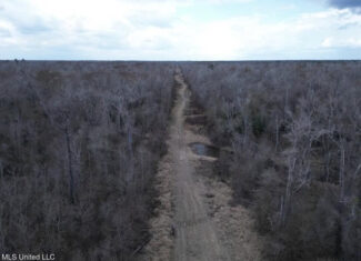 470 Acres on Calcasieu River in Allen Parish, LA