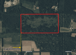 80 Acre Portage County Timber Tract For Sale