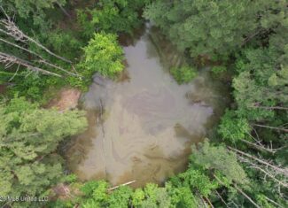 15 Acres with Pond & Homesite in Liberty, MS