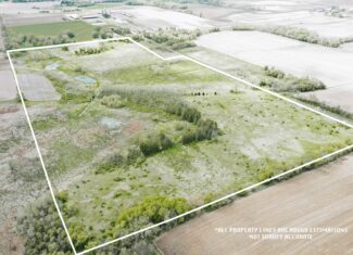 74 Acres in Dane County Town of York Rec, Hunting and Build Site for Sale