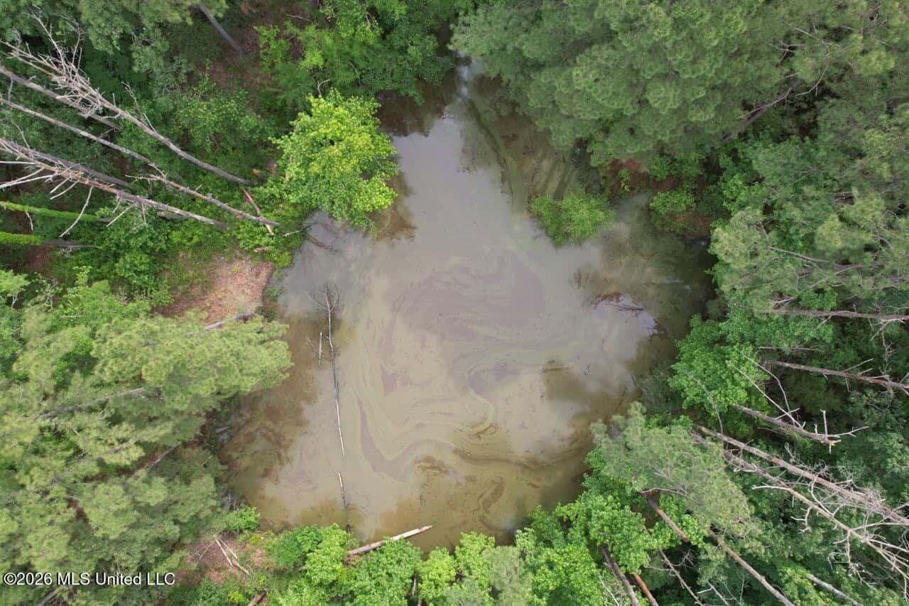15 Acres with Pond & Homesite in Liberty, MS