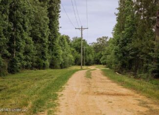 Land for Sale in Amite County, MS