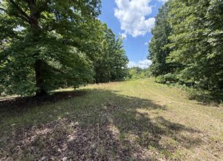 WOODED LAND, ROLLING HILLS NEAR PICKWICK LAKE