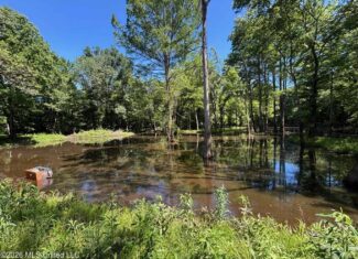 Booger Bottom Plantation 635 Surveyed Acres Attala Co MS