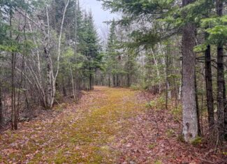 19 Acre Recreational Property – Detroit, Maine