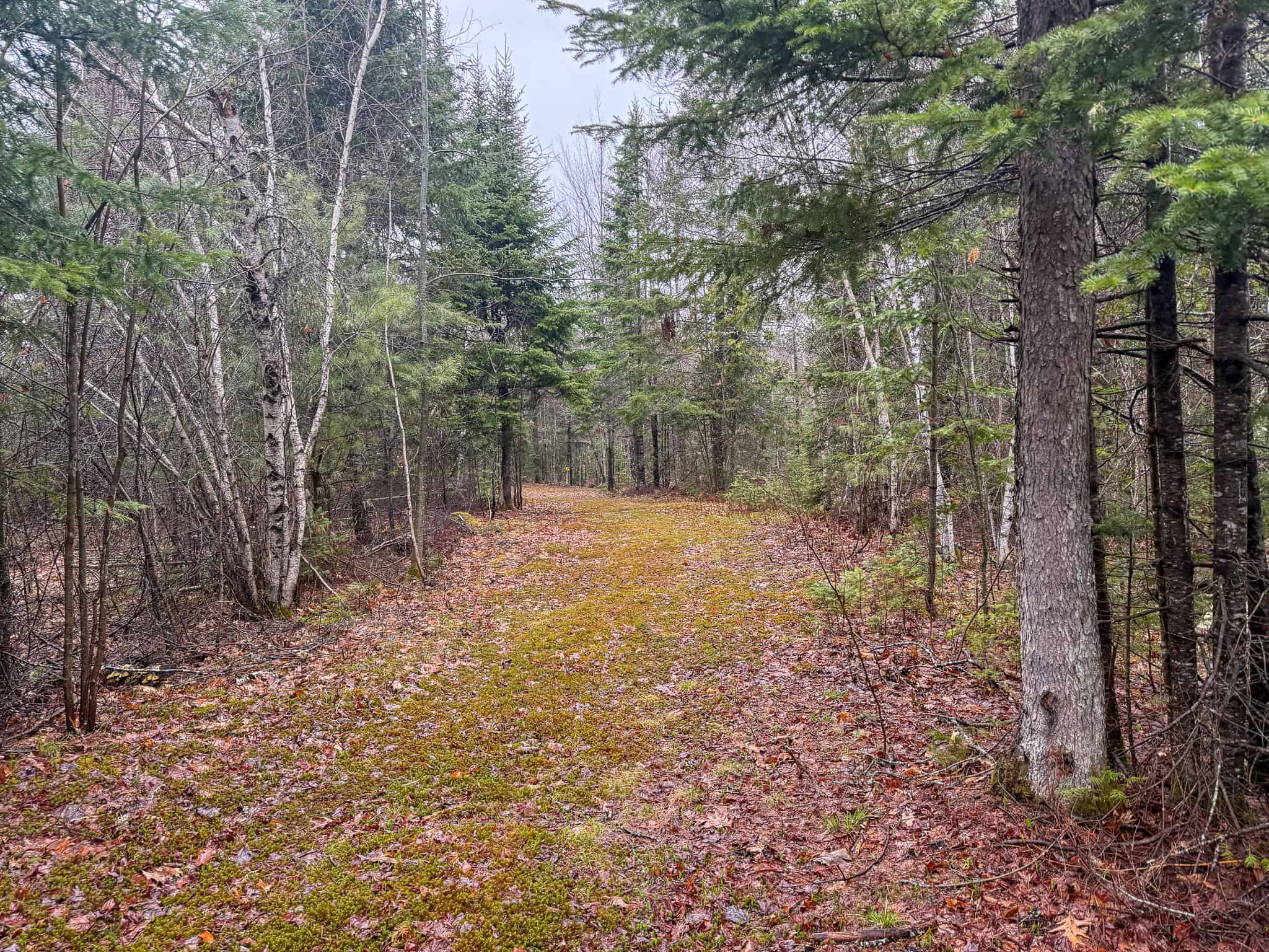 19 Acre Recreational Property – Detroit, Maine