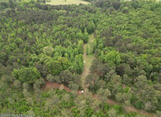 160 Acre in Bienville Parish Near Arcadia, Louisiana