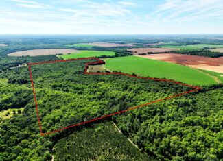 Exceptional 110 ac Hunting & Recreational Property in Shellman, GA