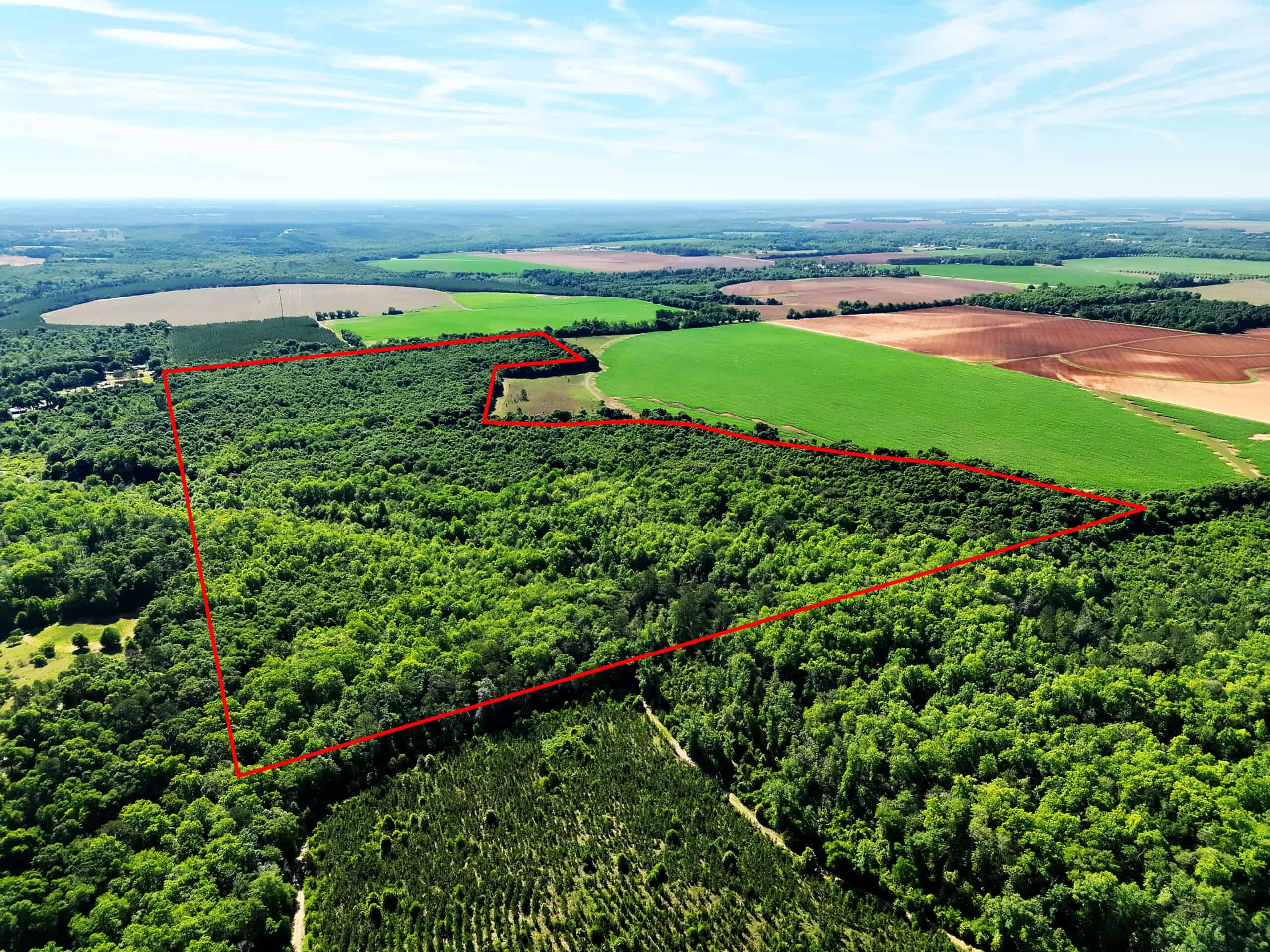Exceptional 110 ac Hunting & Recreational Property in Shellman, GA