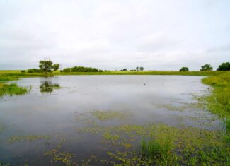 Productive Grassland Property For Sale Agra, Ok