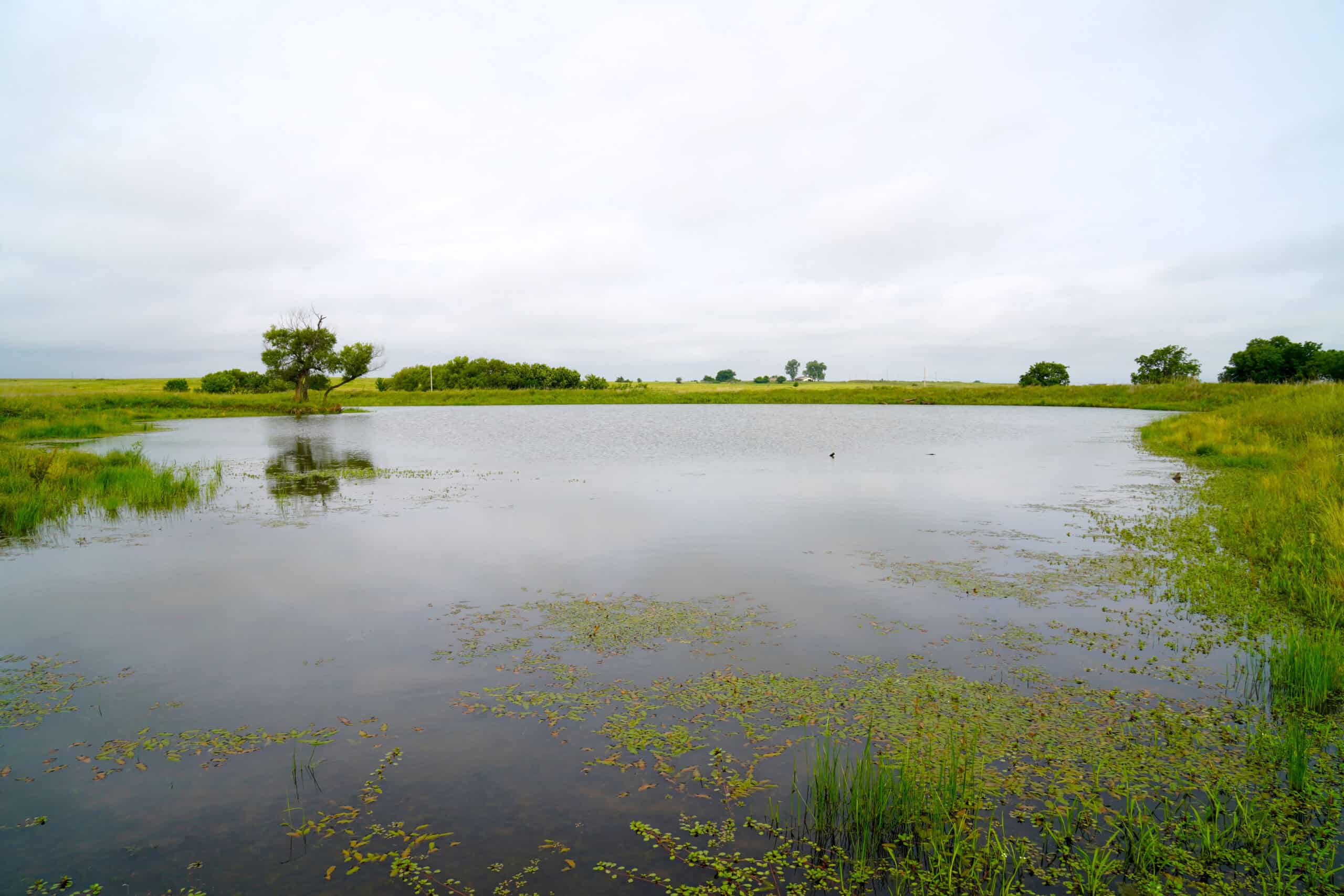 Productive Grassland Property For Sale Agra, Ok