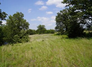 Creek County Recreational Homesite For Sale