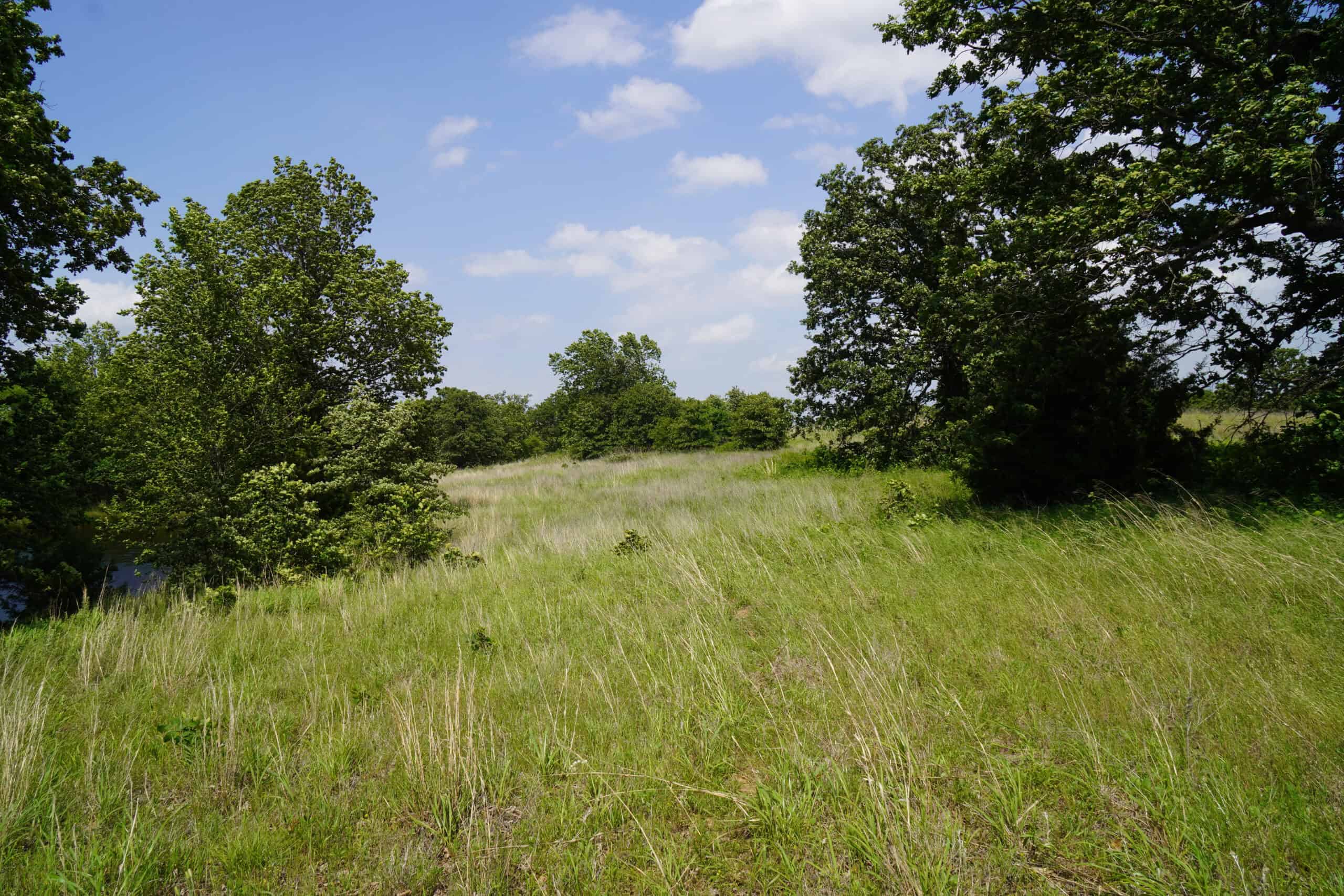 Creek County Recreational Homesite For Sale