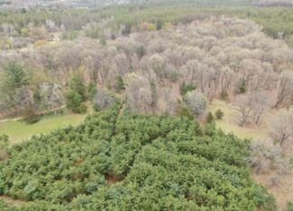 88 Acre Marquette County  WI Hunting Property For Sale