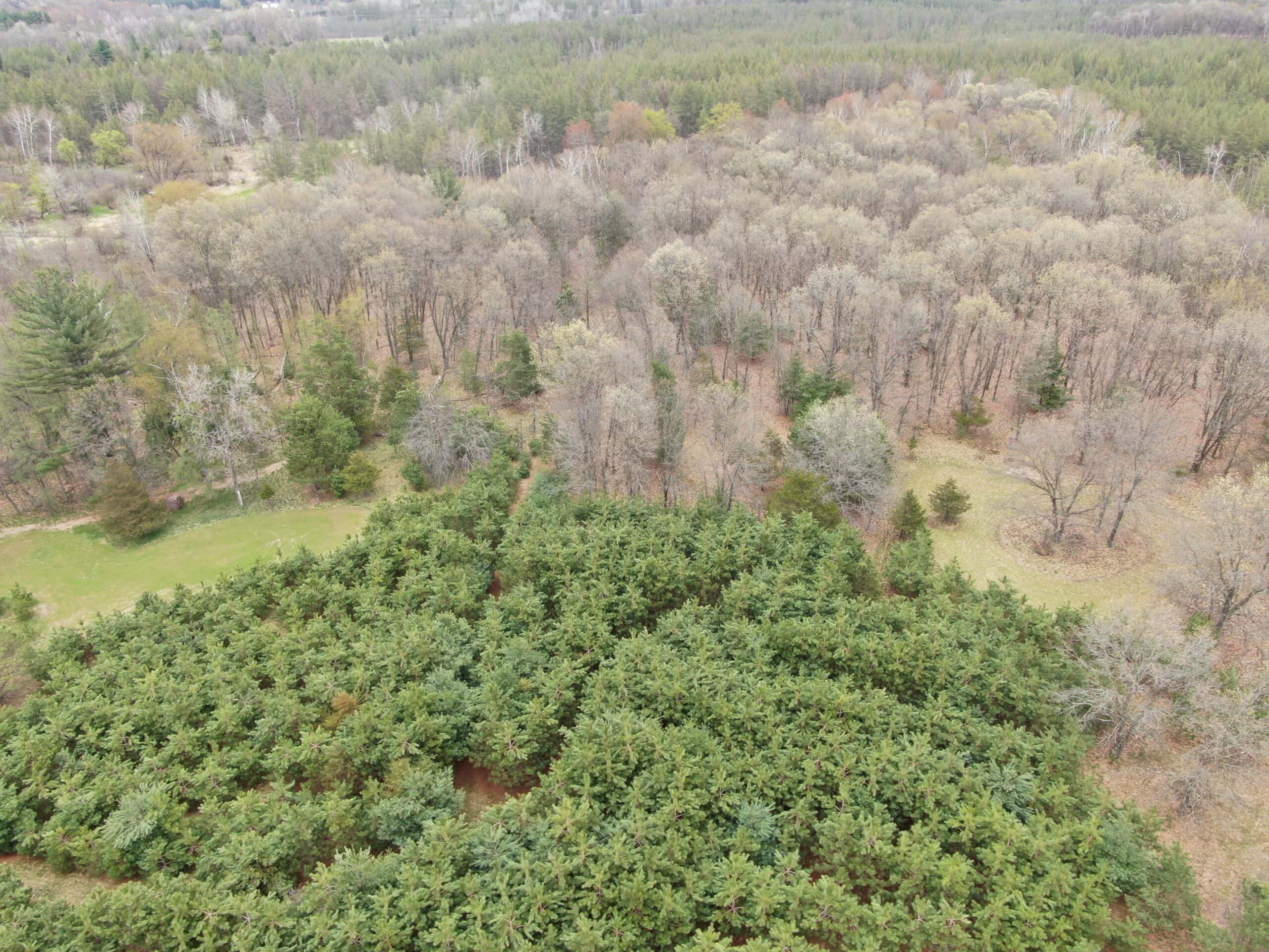 88 Acre Marquette County  WI Hunting Property For Sale