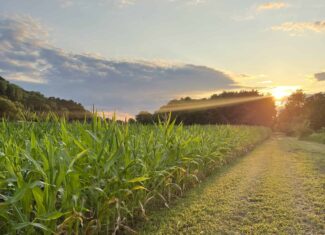 Luxury rural living in the heart of Wisconsin’s scenic Coulee Region