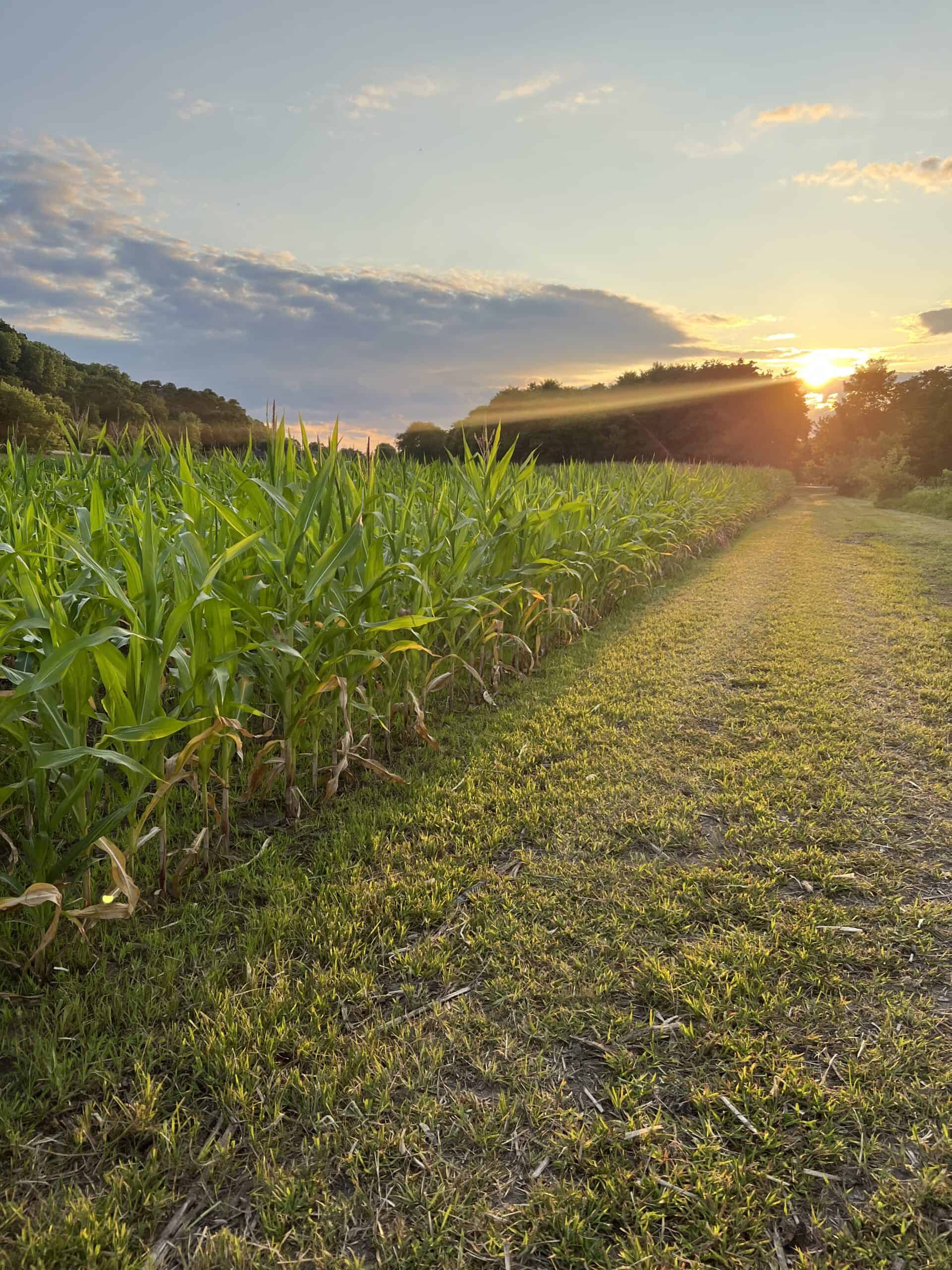 Luxury rural living in the heart of Wisconsin’s scenic Coulee Region